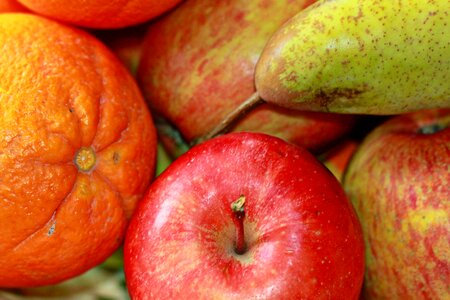 Orange orange fruits delicious photo