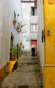 Stairs of life colors