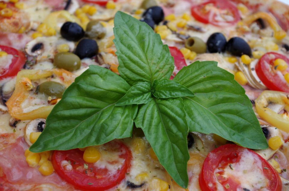 Olives meal basil