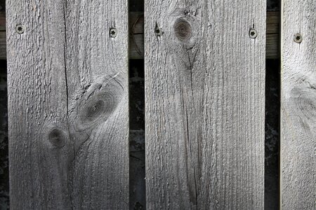 Wall background wood texture wood texture background photo