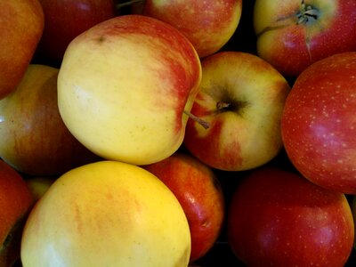 Vitamins healthy harvest