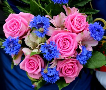 Flowers bouquet düsseldorf