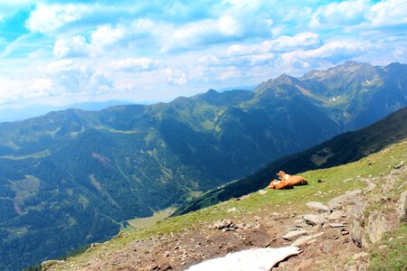 Mountains meadow rest