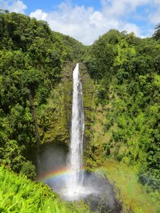 Park paradise green waterfall