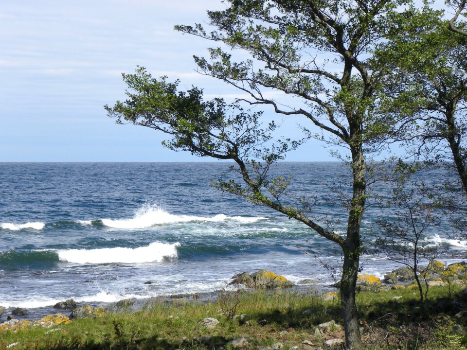 Coast pebble vacations