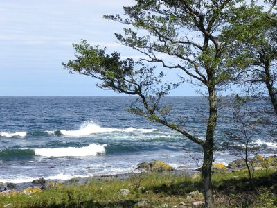 Coast pebble vacations