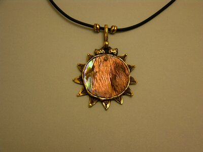 Paua seashell sun