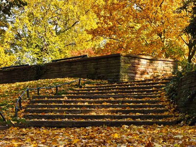 Fall foliage nature colors of autumn