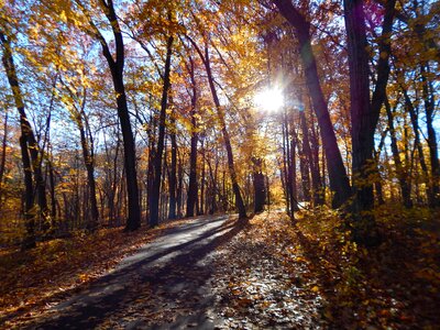 Autumn nature landscape photo