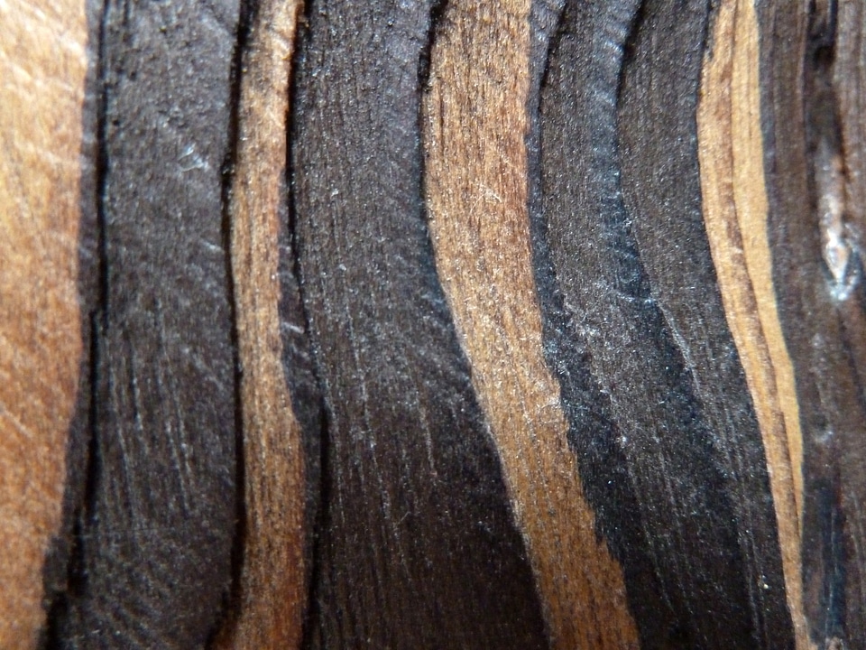 Texture background plank