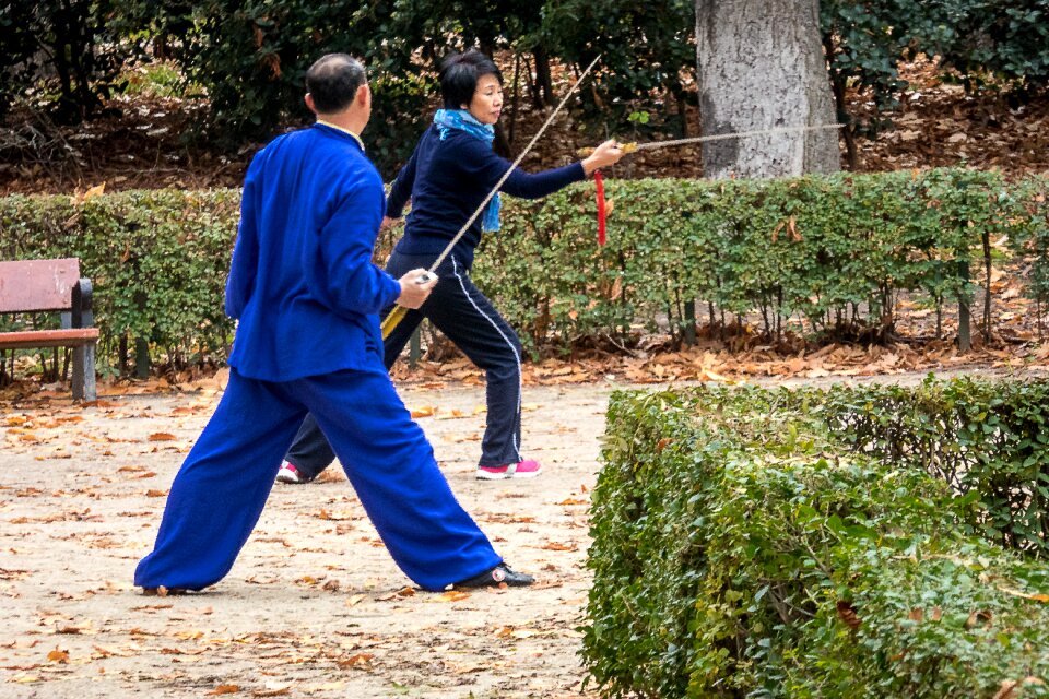 Japanese tai-chi master