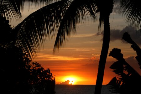 Sun tropical island photo