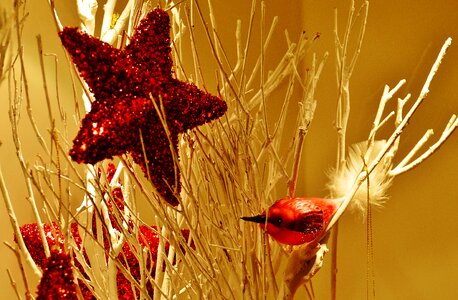 Christmas christmas decoration advent