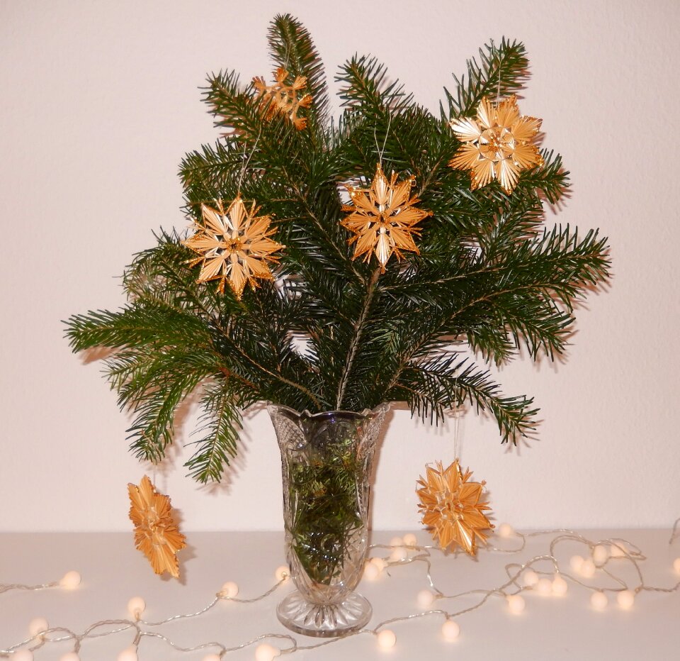 Pine bouquet star golden
