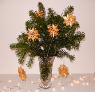 Pine bouquet star golden photo