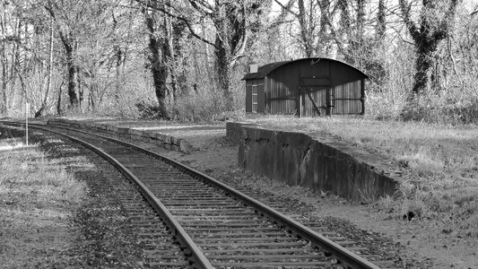 Railroad track platform wild