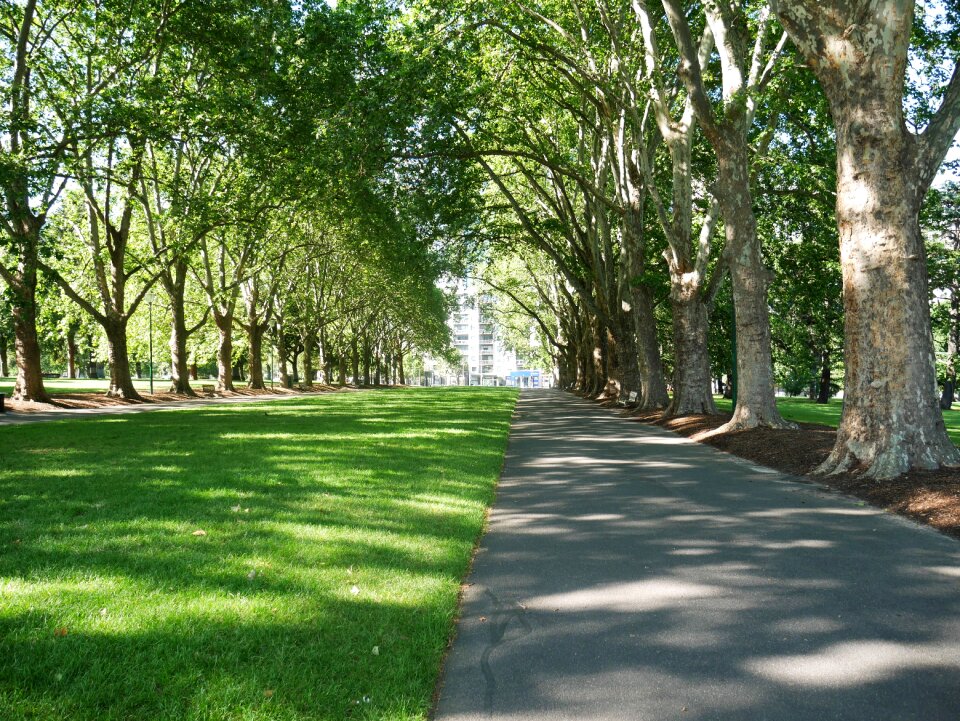 Buildings city green