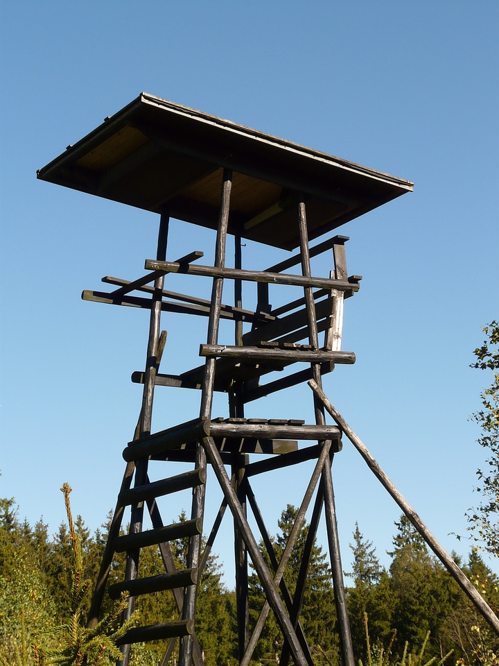 Hunting wooden tower hunt