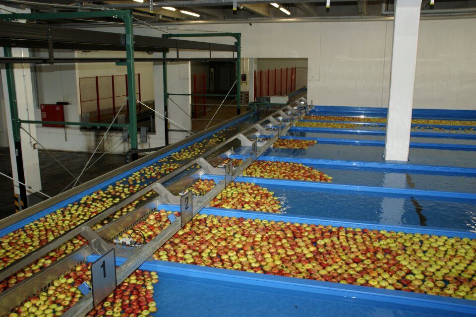 Fruits food water