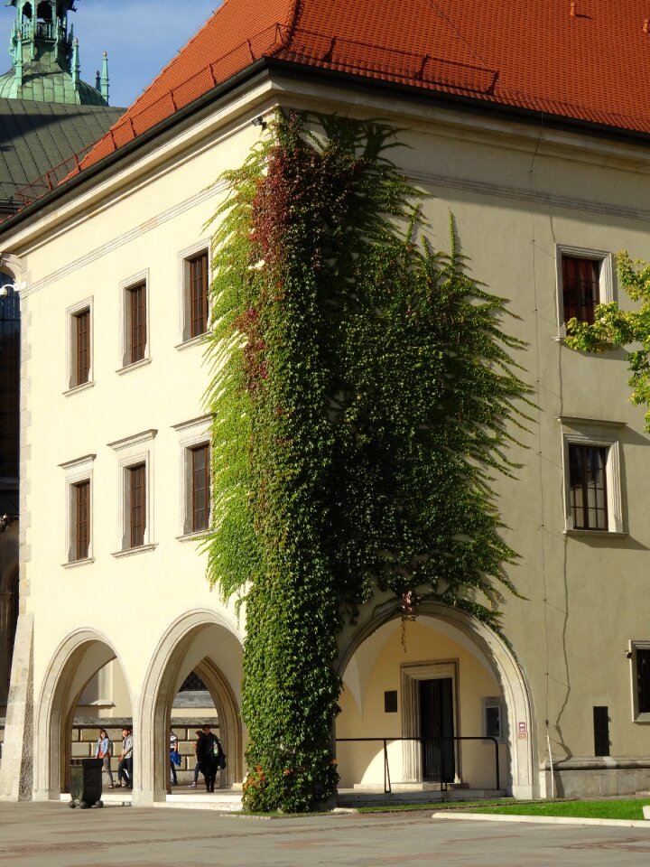 The museum building monuments