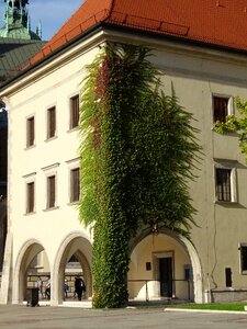 The museum building monuments