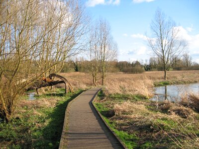 Walking water nature