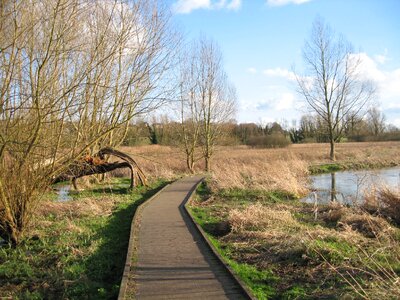 Walking water nature photo