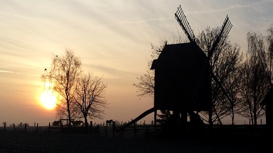 Windmill horses idyllic