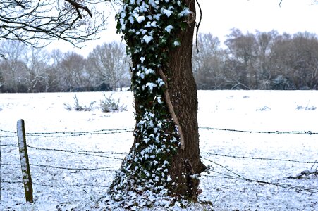 Winter christmas season photo