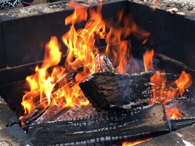 Burning campfire logs photo