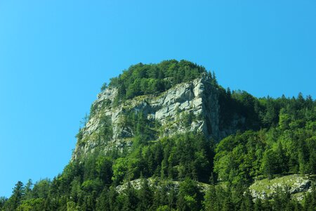 Stones nature trees