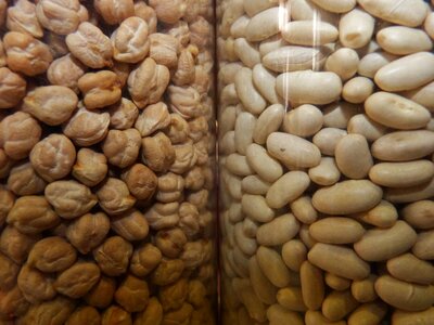 Jewish legumes boats