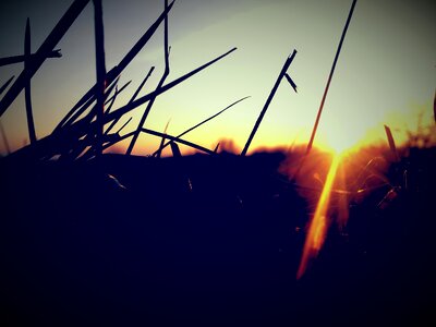 Nature grass sky photo