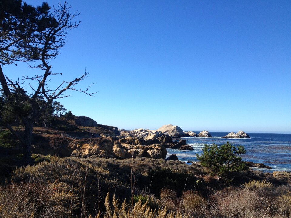 Coastline nature beach