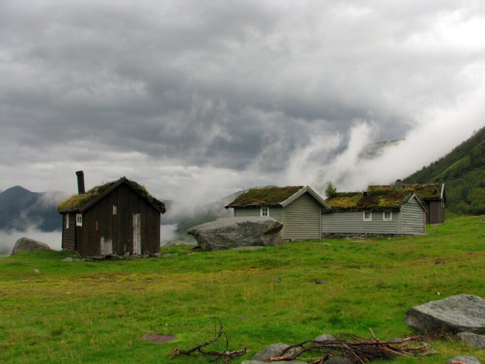 Fog landscape scenic