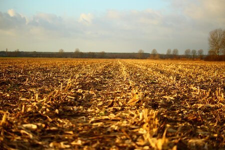 Harvested autumn landscape photo