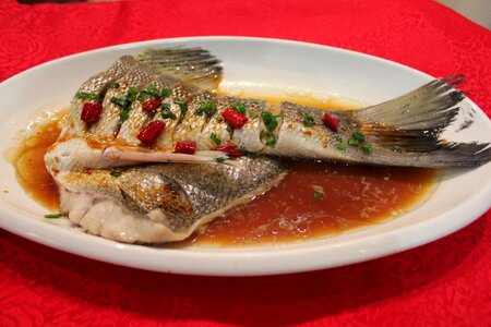 Asian cuisine food fish photo