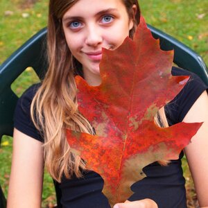 Oak leaf oak watch