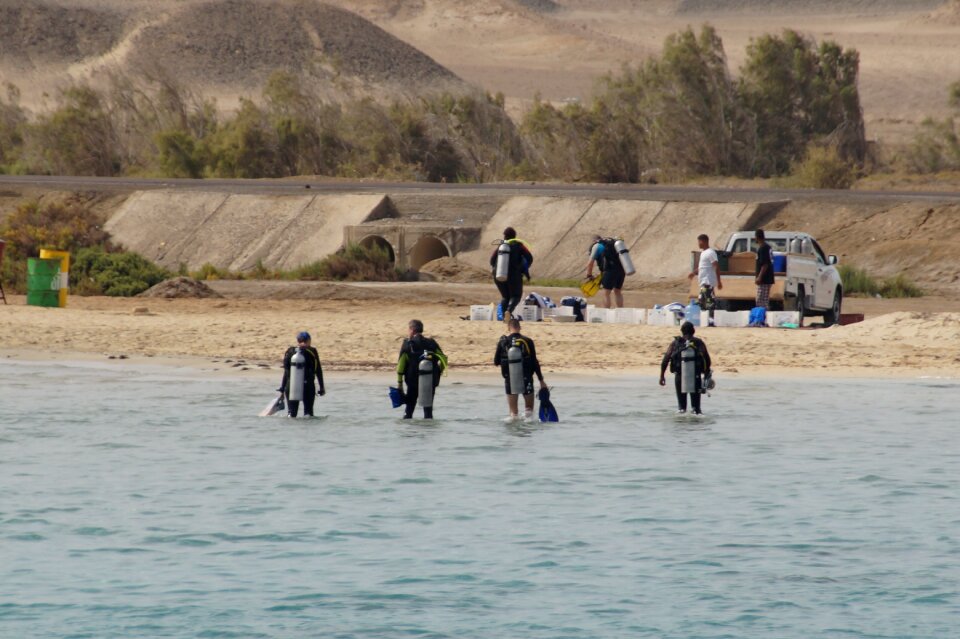 Diving egypt the red sea