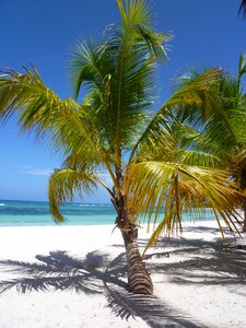 Tropical sandy beach ile photo