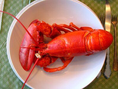 Seafood new england