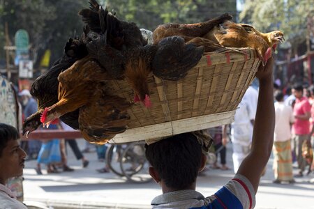 Basket chicken seller