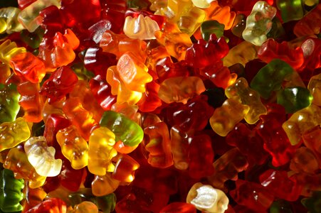 Bear delicious color