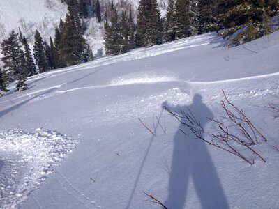 Powder shadow skier