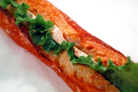 Sandwich food baguette