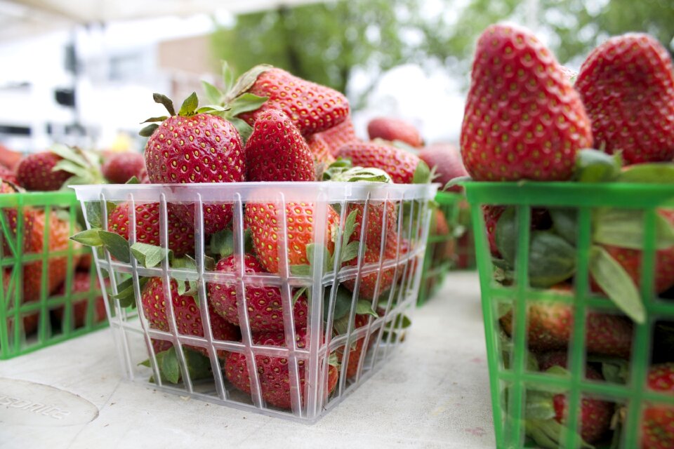 Berry fresh fruit