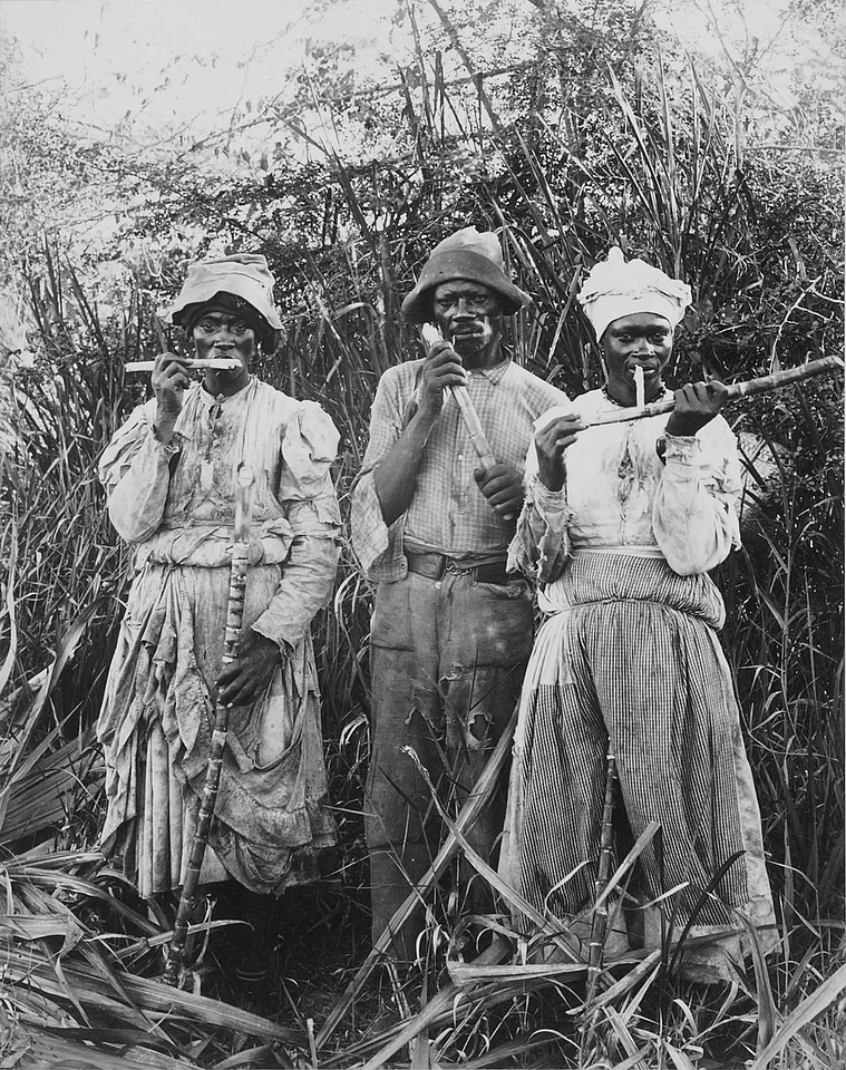 Jamaica 1880 black and white