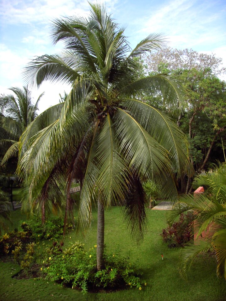 Nature vacations caribbean