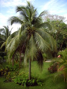 Nature vacations caribbean