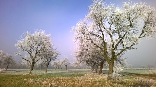 Autumn november icy